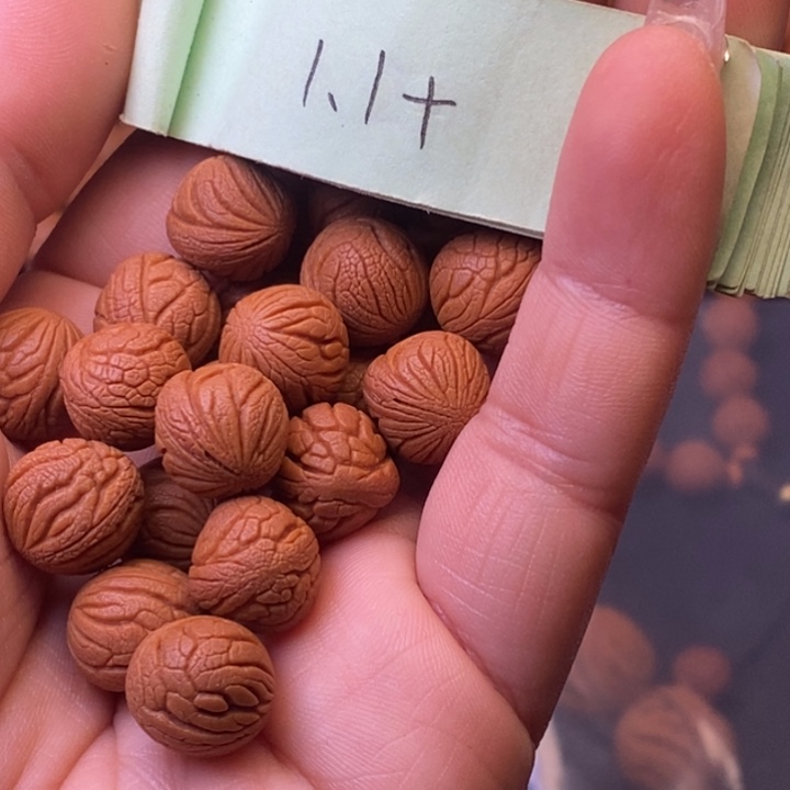 秦岭龙纹桃核21颗