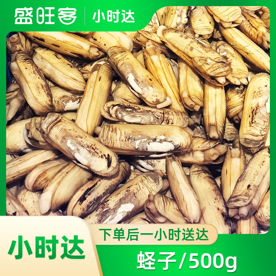 蛏子/500g一份