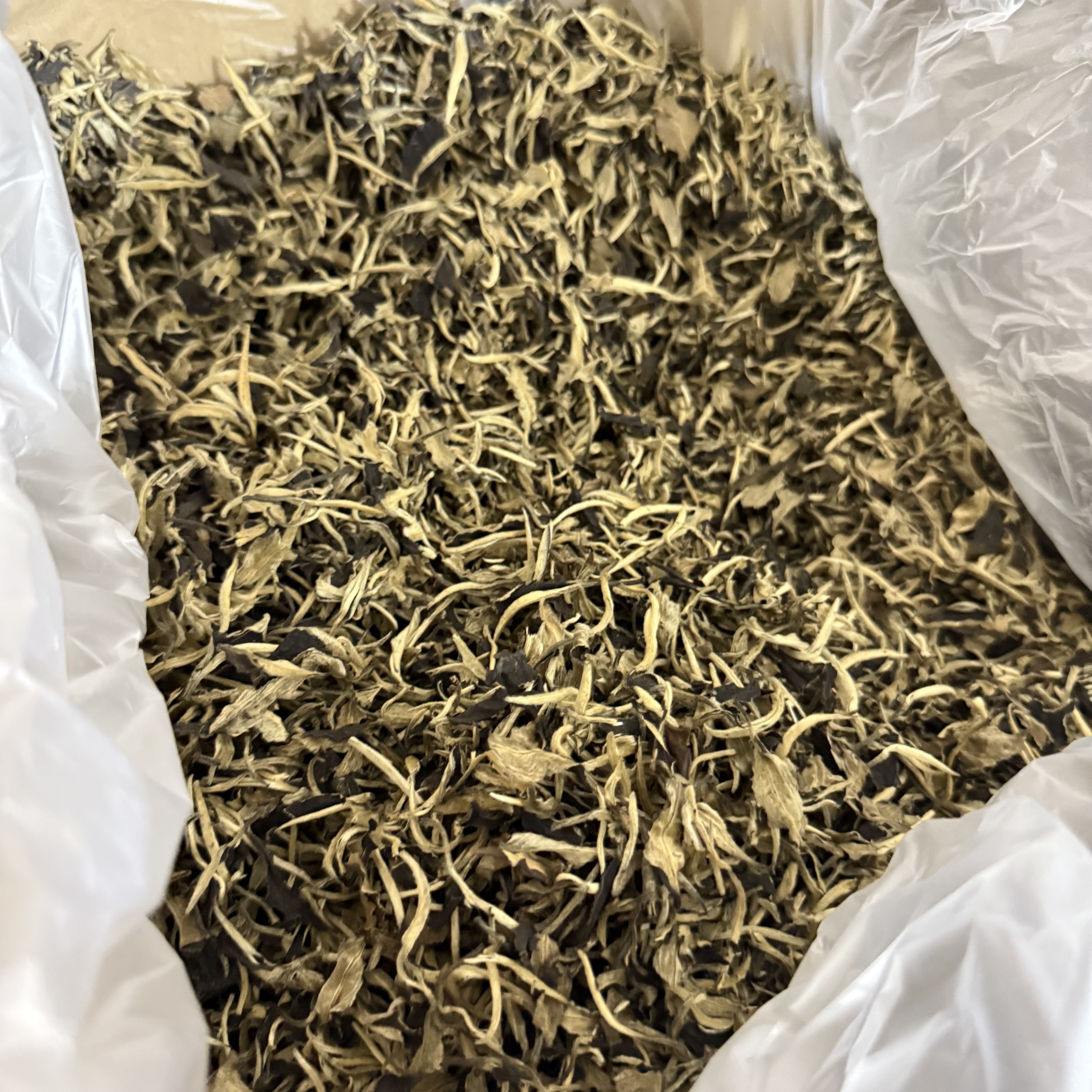 2016年 云南月光白 春散茶