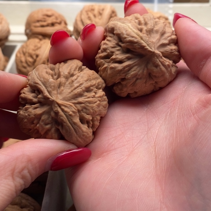 南***石文玩核桃把件霸王龙