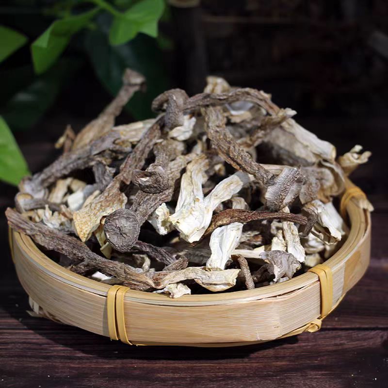 【无干燥剂发货】高山鹿茸菇农家特产干货新货炒菜煲汤鲜香脆嫩