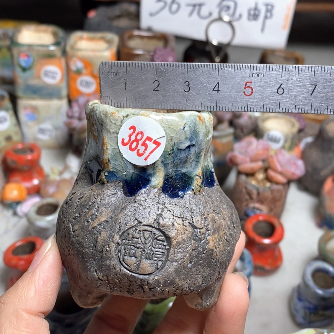 多肉花盆特价不退不换原价32一个