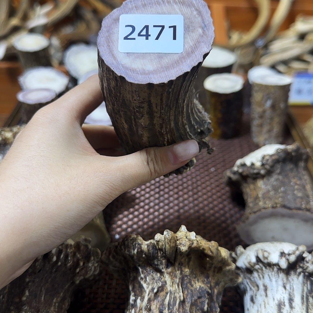 手串/手链鹿骨中段2471