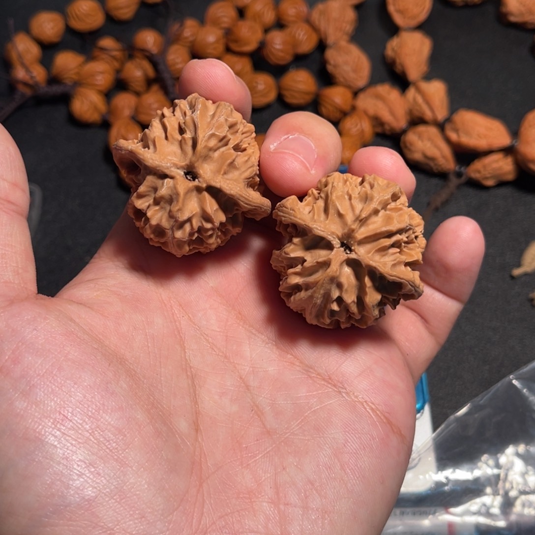 39全品原桩苹果圆转圈配