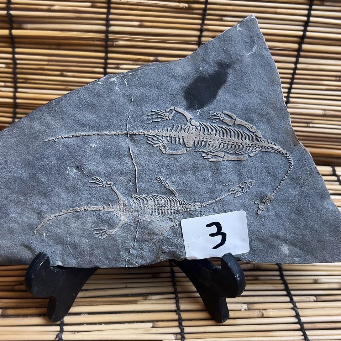 龙***健石材贵州沉积岩石头摆件