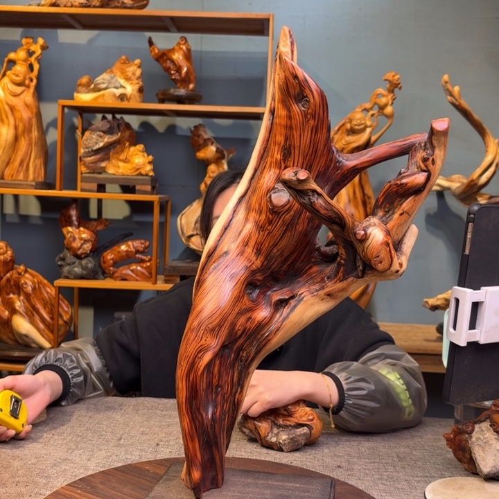 柏木（崖柏）关注一下