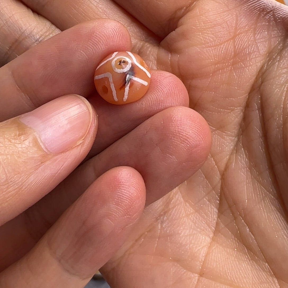 唐***蓉直发专拍专用链接