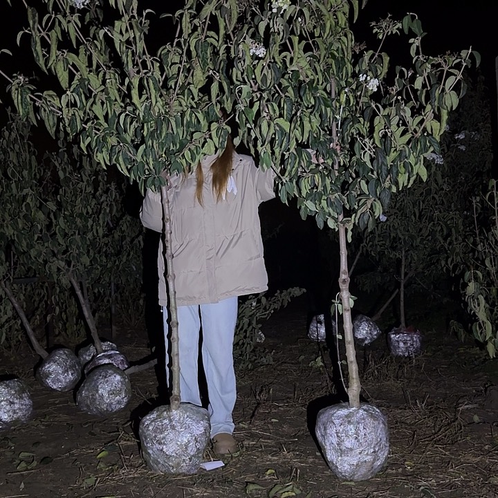 完全开放李静可口可乐李静李静可口可乐