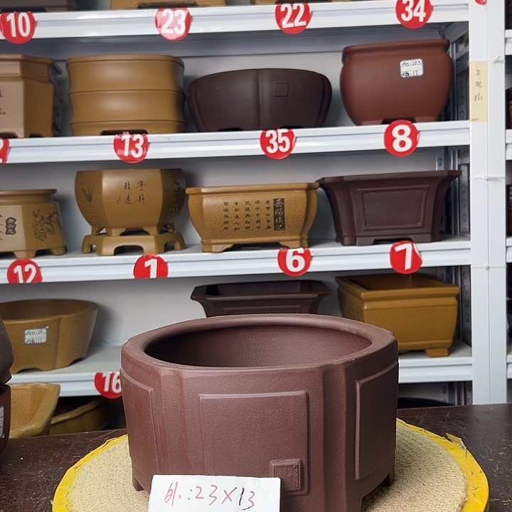 花盆紫砂你在一起