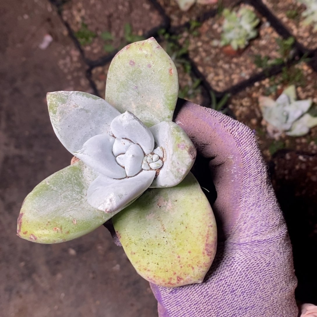 2104哈哈哈哈哈哈哈哈哈哈哈哈