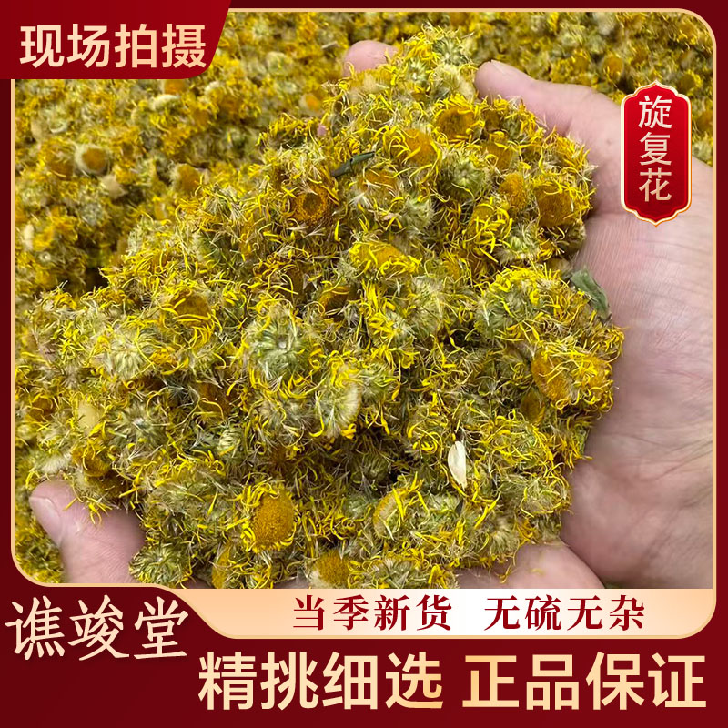 谯竣堂高品质旋覆花中药材搭代赭石汤的金钱菊六月菊非当归