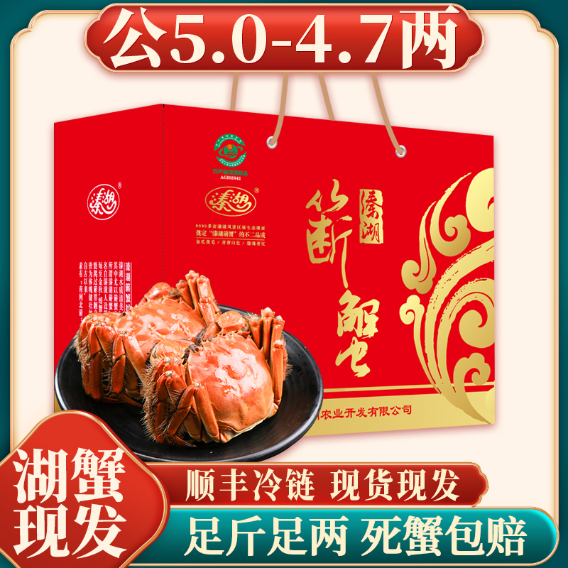 [活蟹]江苏溱湖簖蟹 公5.0-4.7两6只 顺丰冷链湖蟹Q8