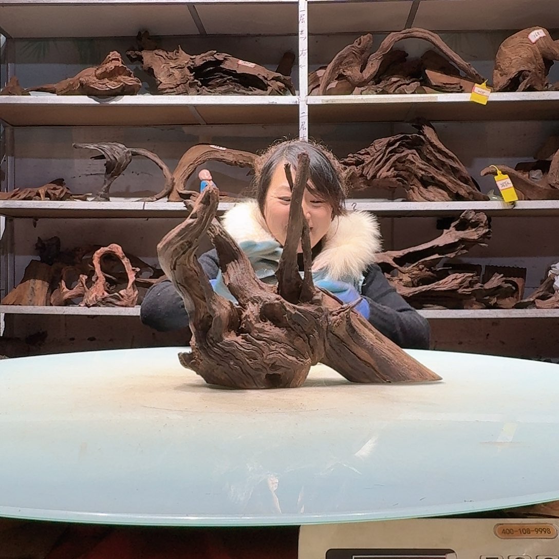 倍诸沉木不包损必褪色夜**华6100