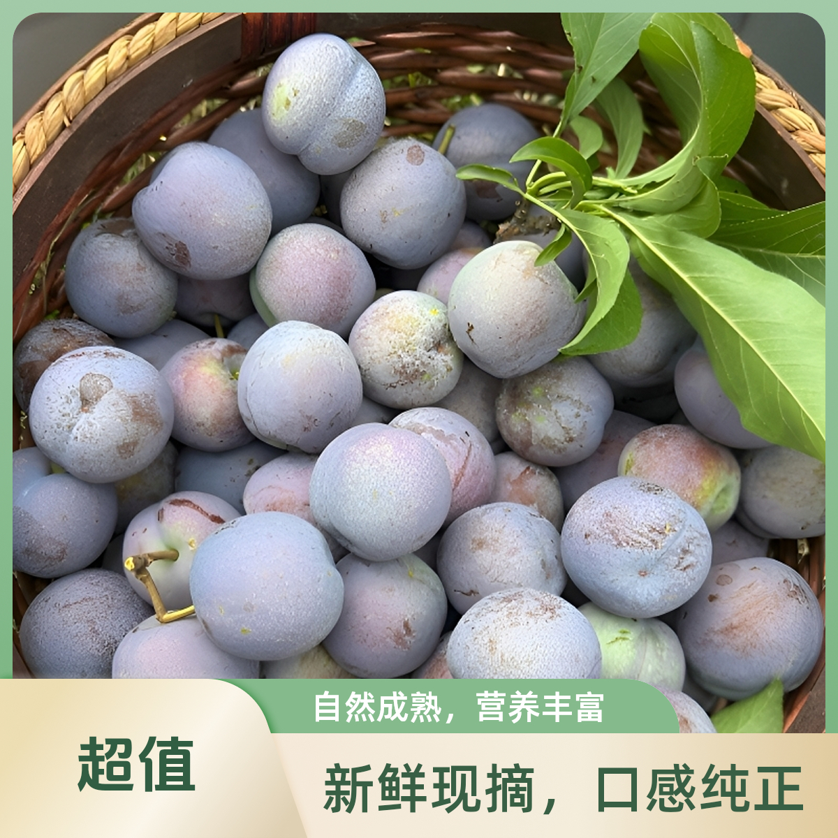 正宗四川高山脆红李新鲜应季水果脆甜多汁现摘现发