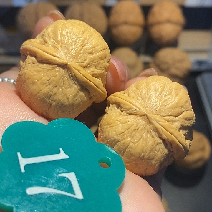 核桃小胖墩核桃尺寸34