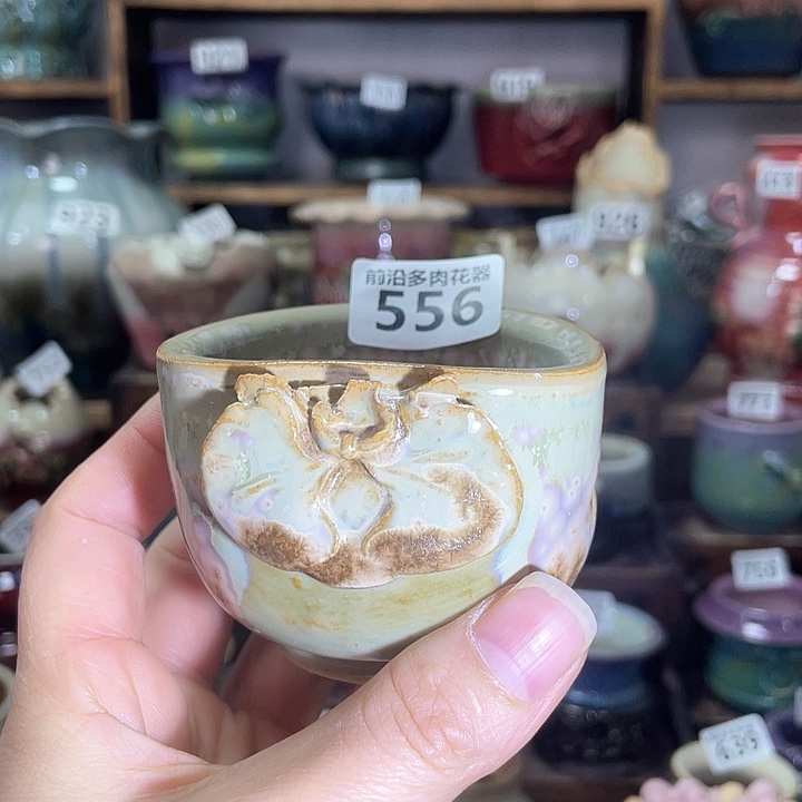 红陶内口径6高度6