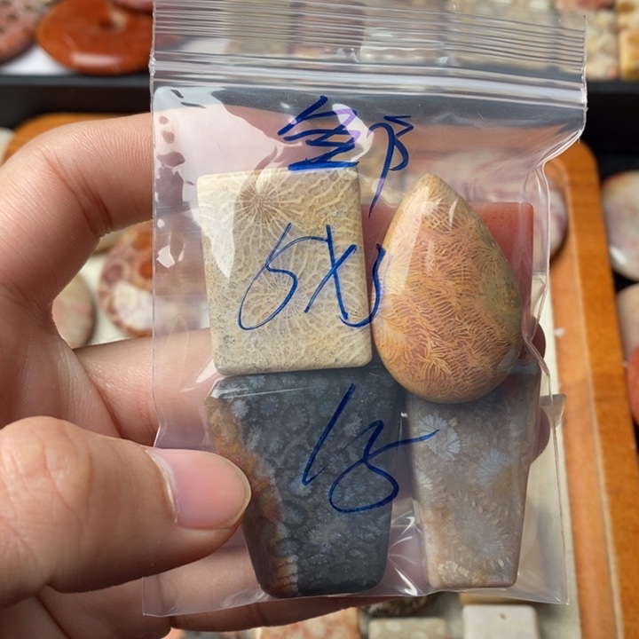 硅化玉颈饰足金镶嵌邹*