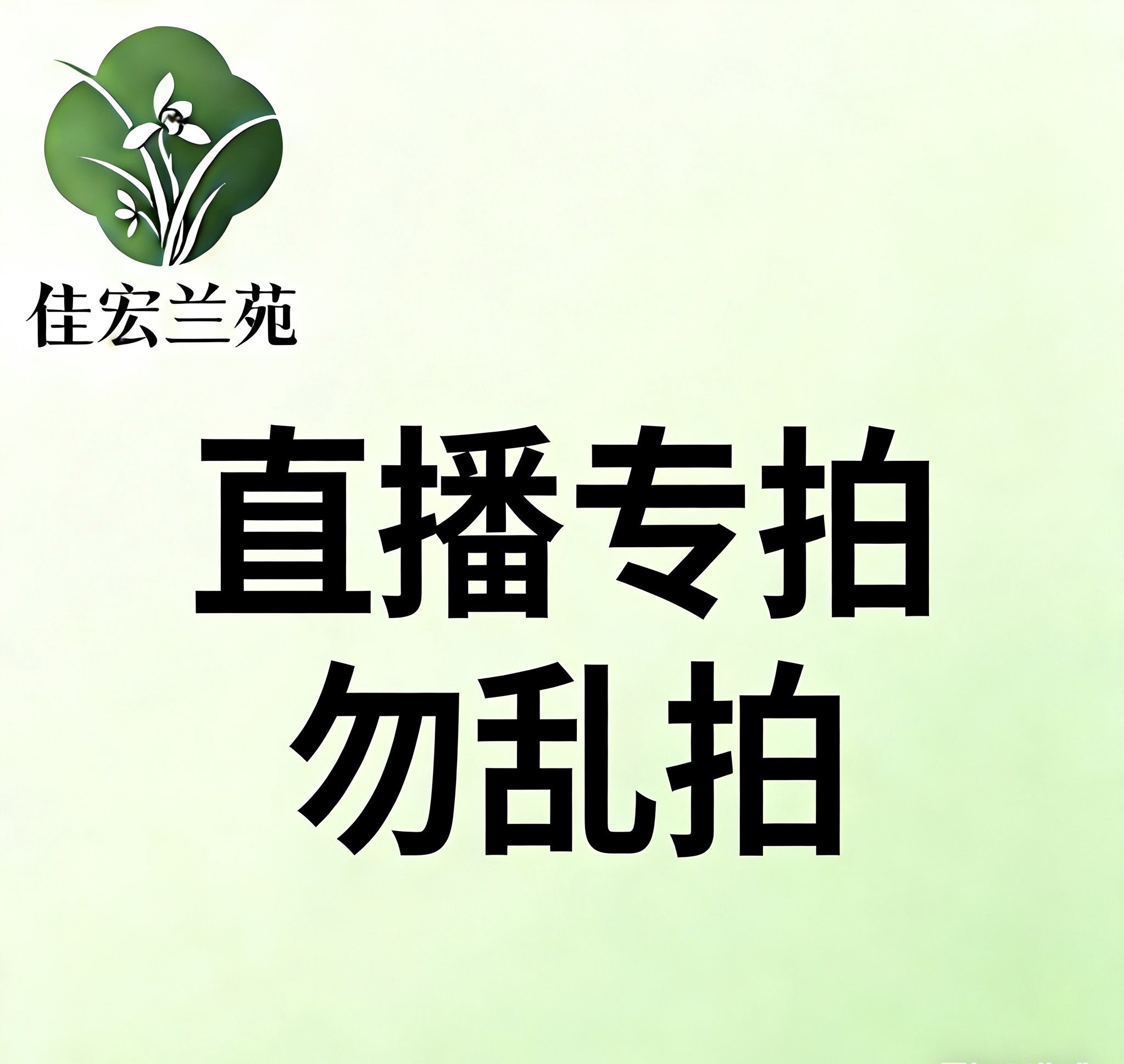 兰花直播间专用 一物一拍，以实拍为准！