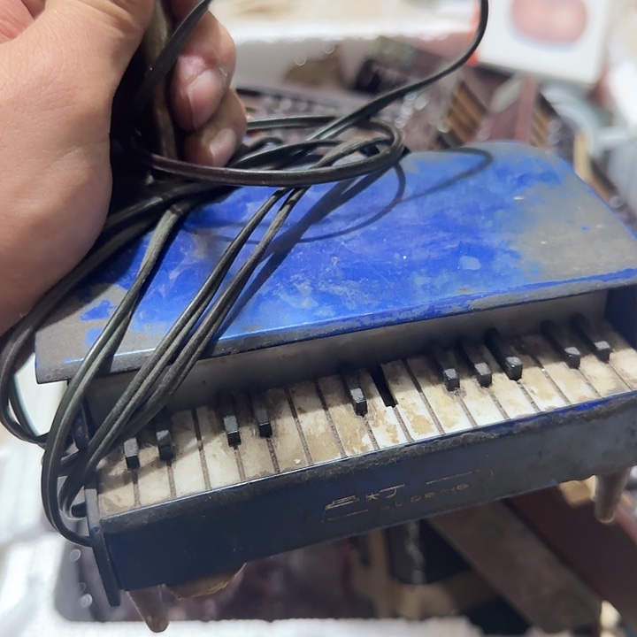 橄榄核其他孑*Ggghggggggggg