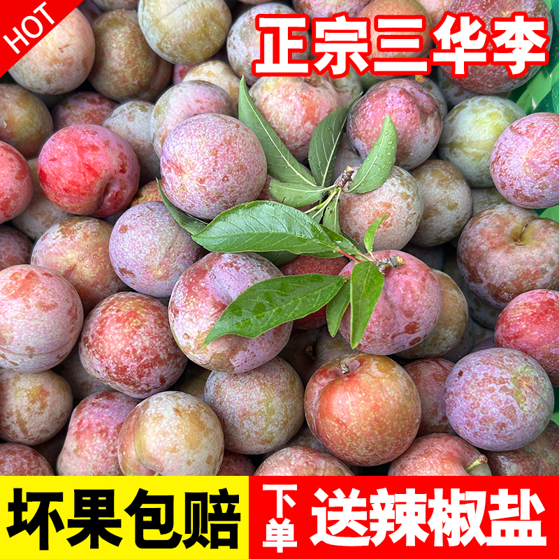 【清园价】正宗信宜钱排红心三华李酸甜李子2斤3斤5斤净重发货广东省广东省