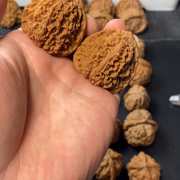 桃核把件5785445677875