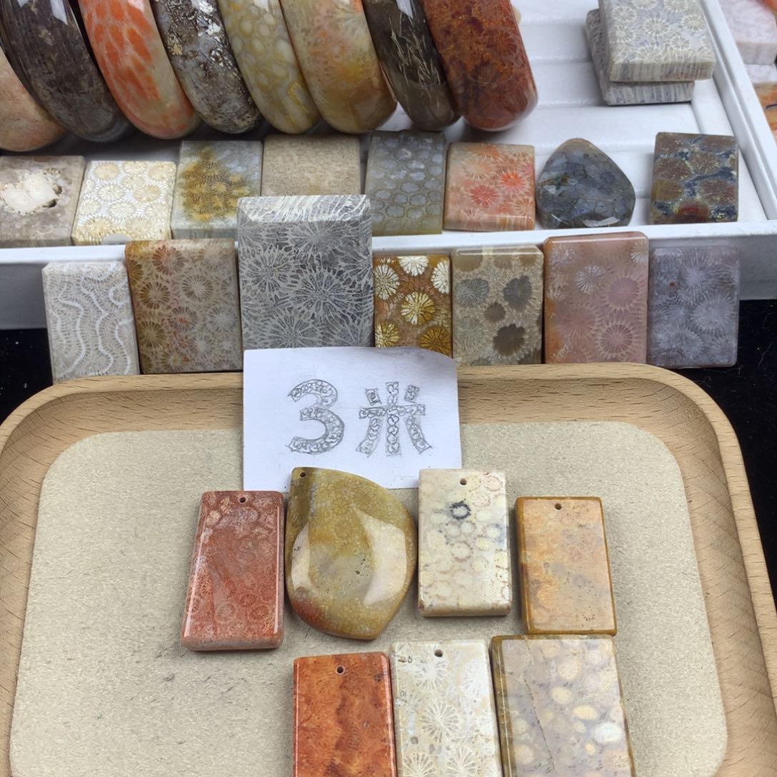 北***鱼硅化珊瑚（珊瑚玉）未镶嵌颈饰