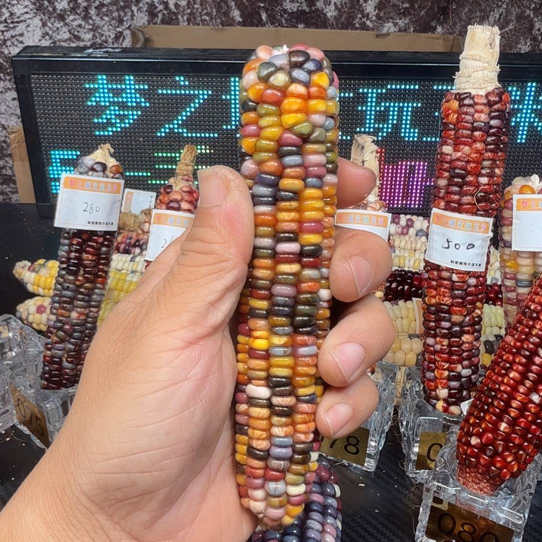 彤***^大叶紫檀（黑酸枝木类）