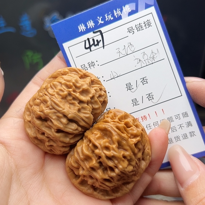 文玩核桃吊坠核桃树447