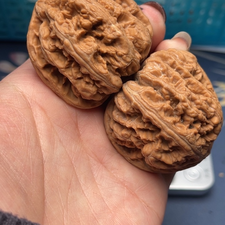 文玩核桃把件粗筋43