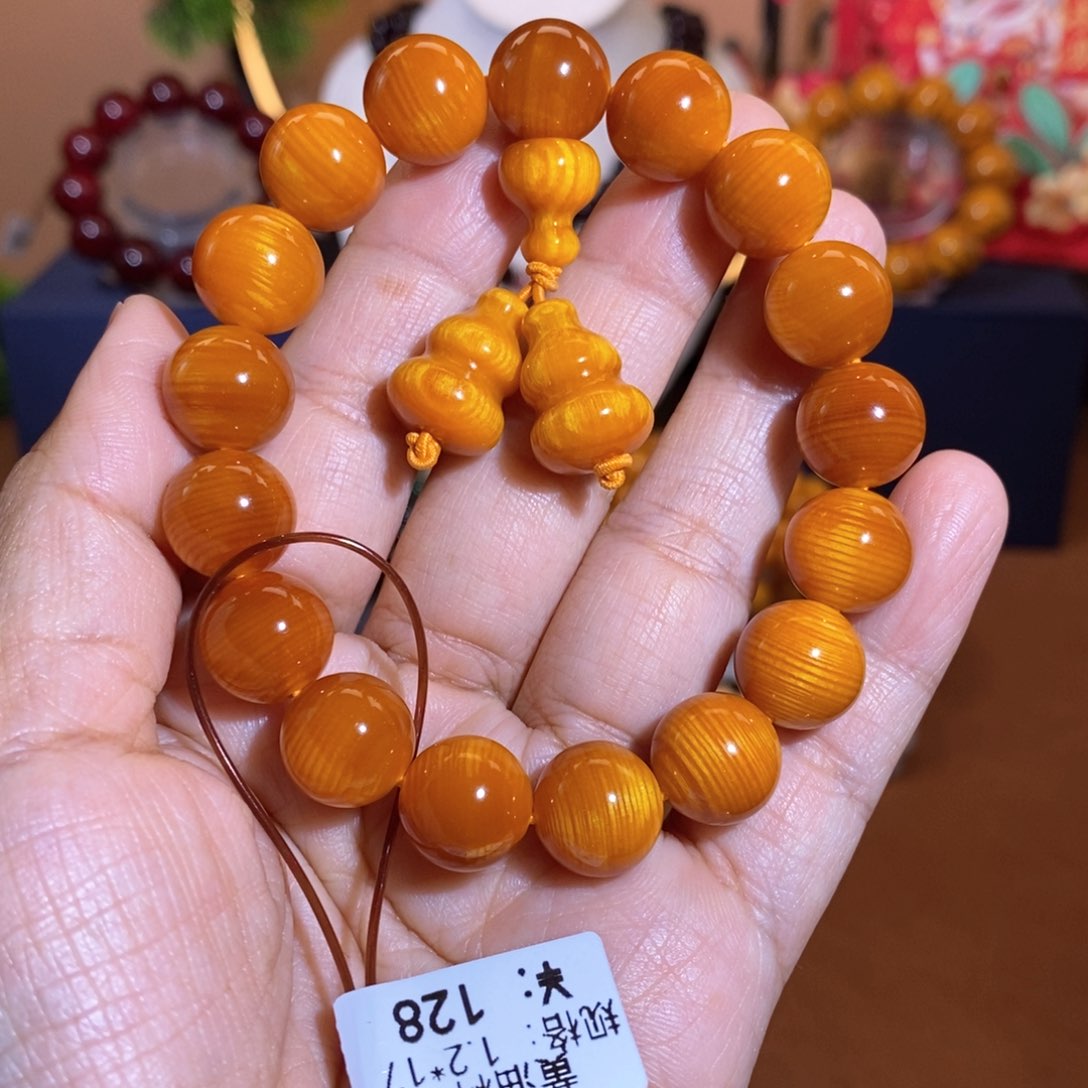 贝壳杉帝王血龙木1.2