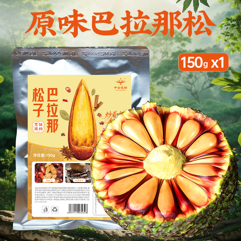 【全新】巴拉那松松子 拇指大松子 松子有拇指大  送人送礼 