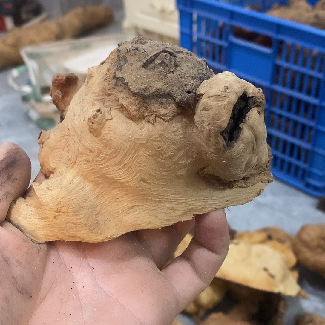 新***业荔枝木荔枝木原料