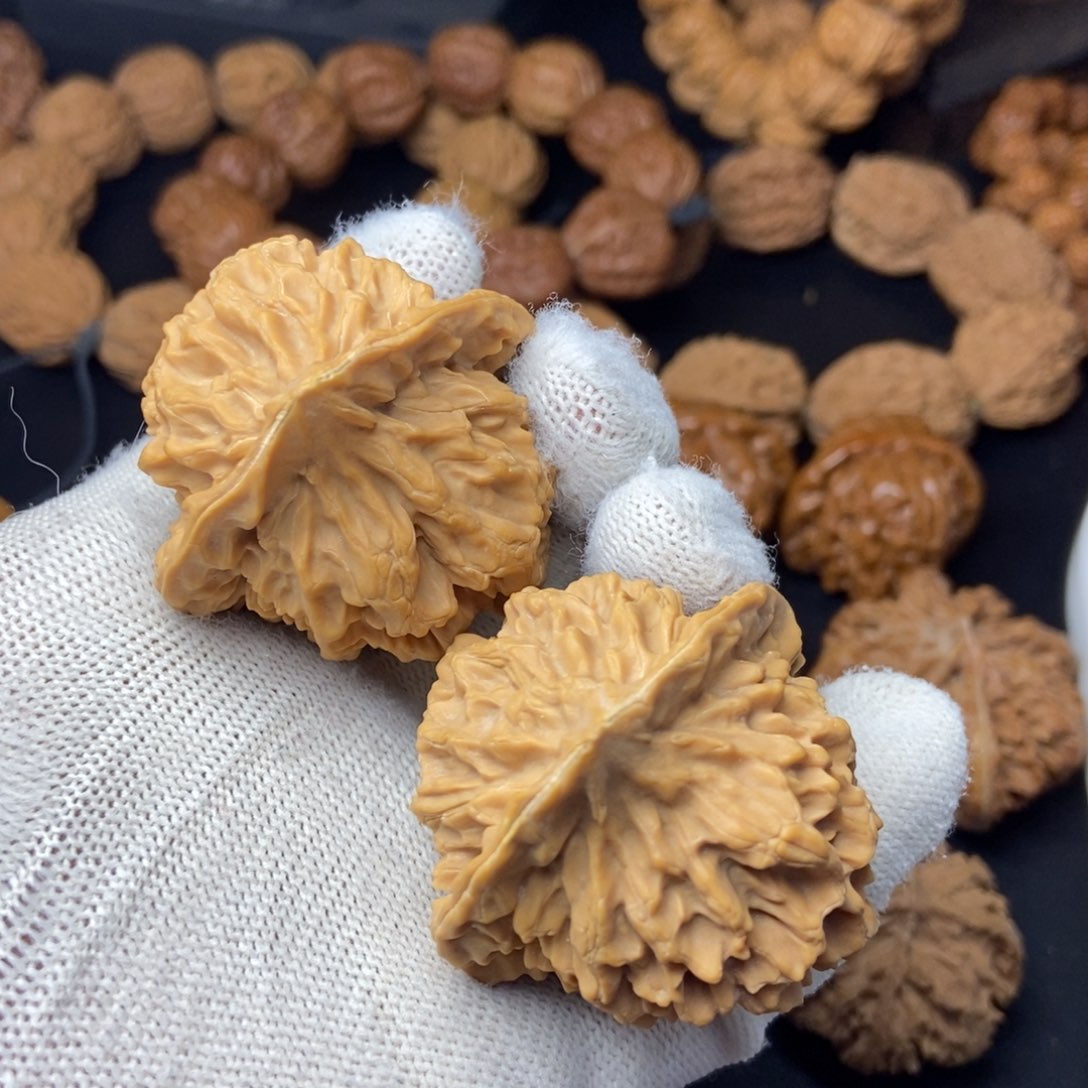 文玩核桃把件秦岭核桃帝王花46