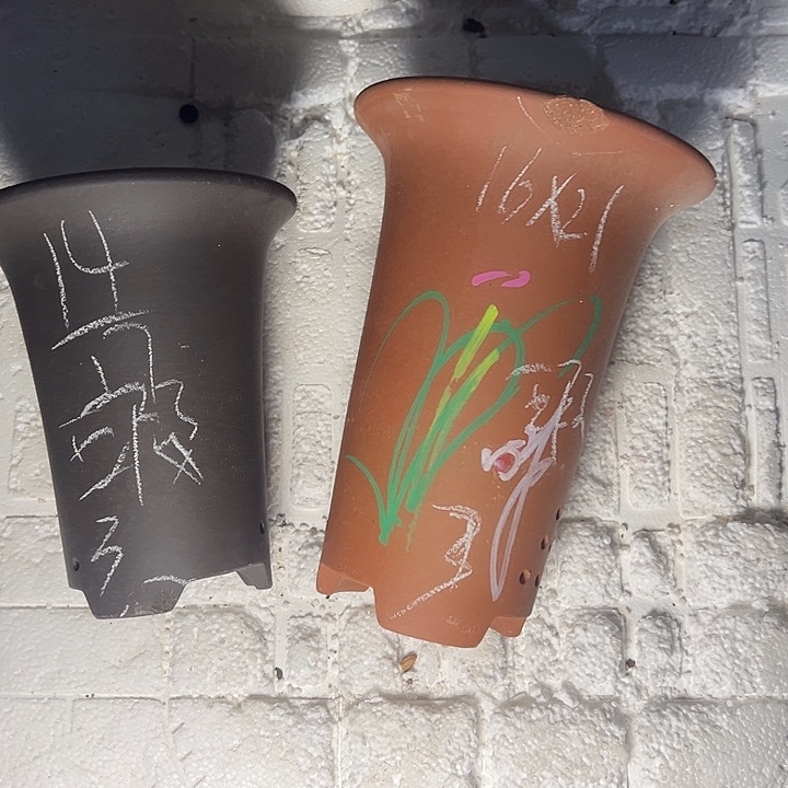 自作自受周三周四再说 