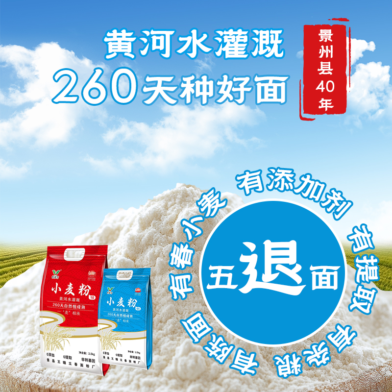 恒亦雪零添加冬小麦河北硬质冬麦面粉面点美食10+65高筋面粉升级