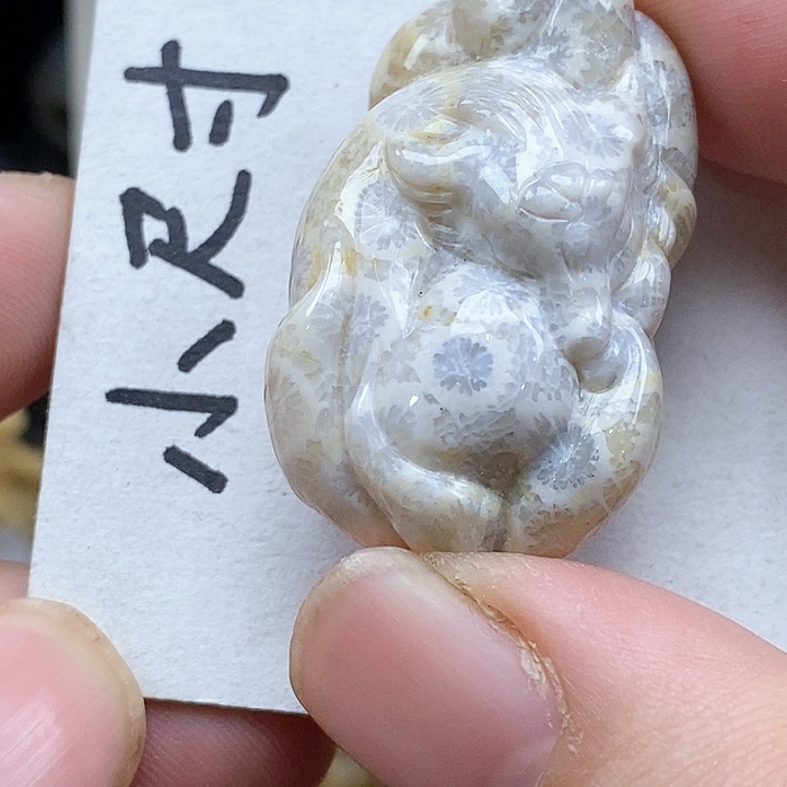 颈饰未镶嵌硅化珊瑚（珊瑚玉）