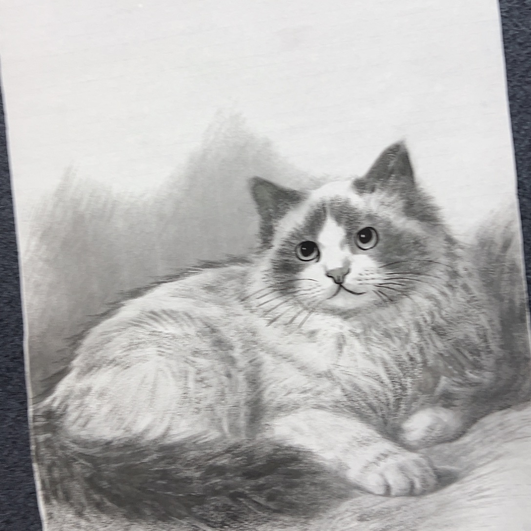 ？***国画精品书画作品