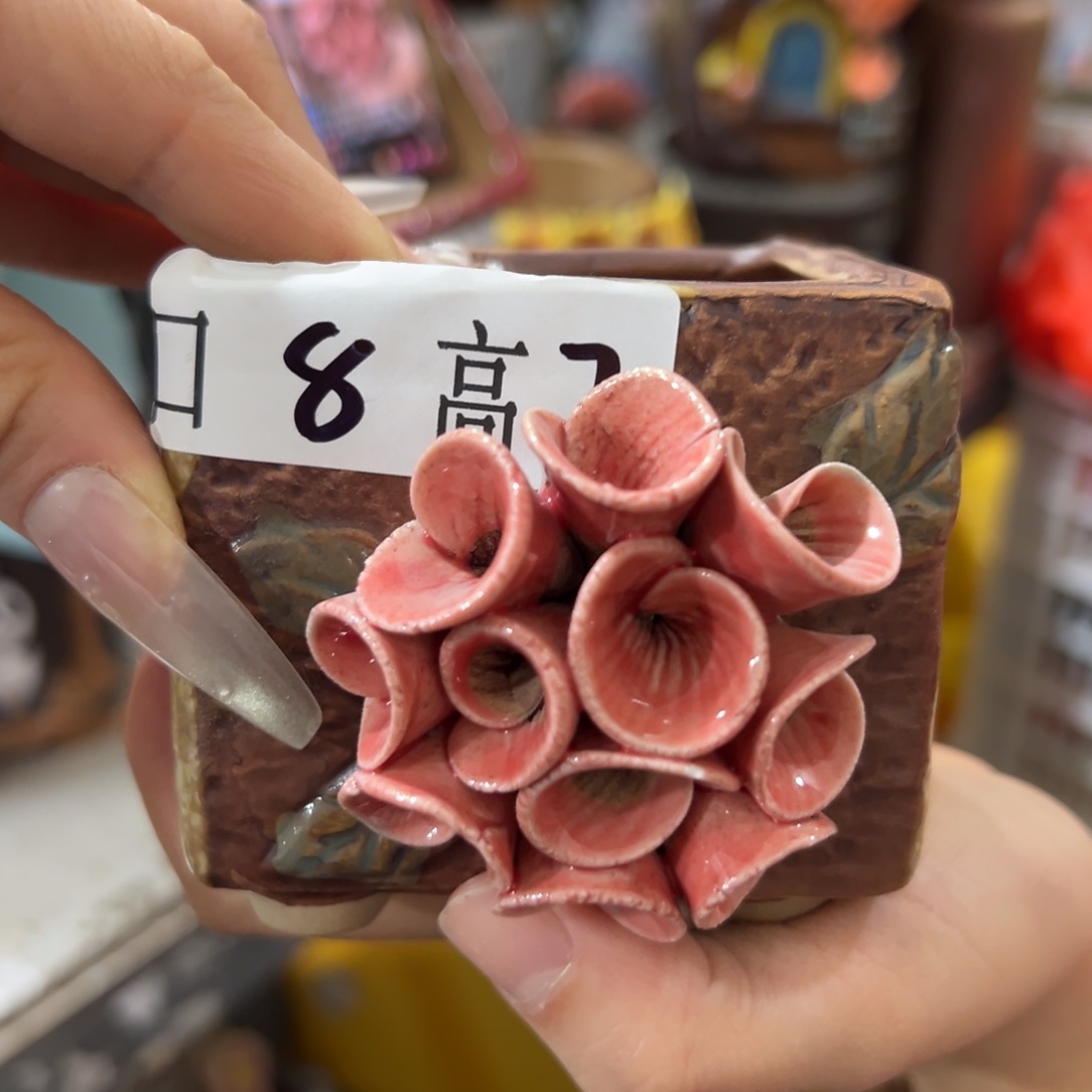 花盆，拍满20发货，退款拉黑