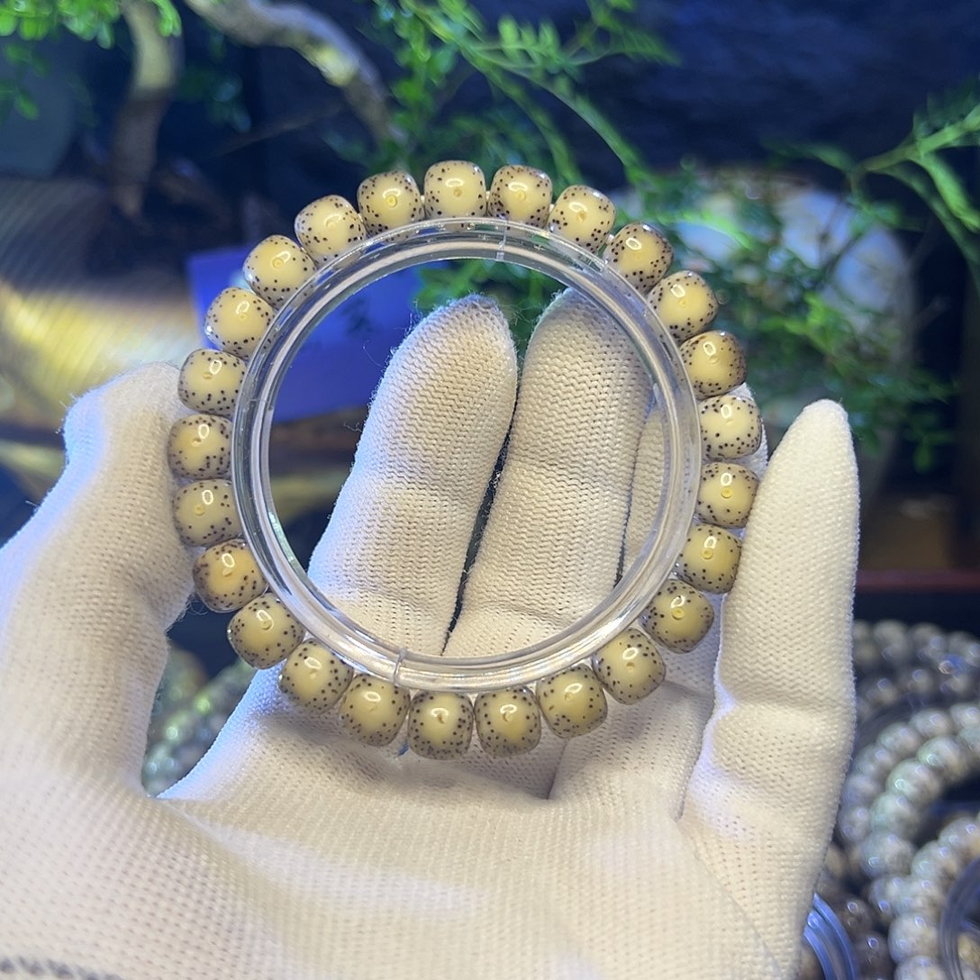 星月菩提手串海南原生态