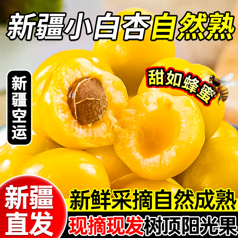 【中通空运直达】新疆小白杏轮台白杏新鲜应季水果纯甜杏子