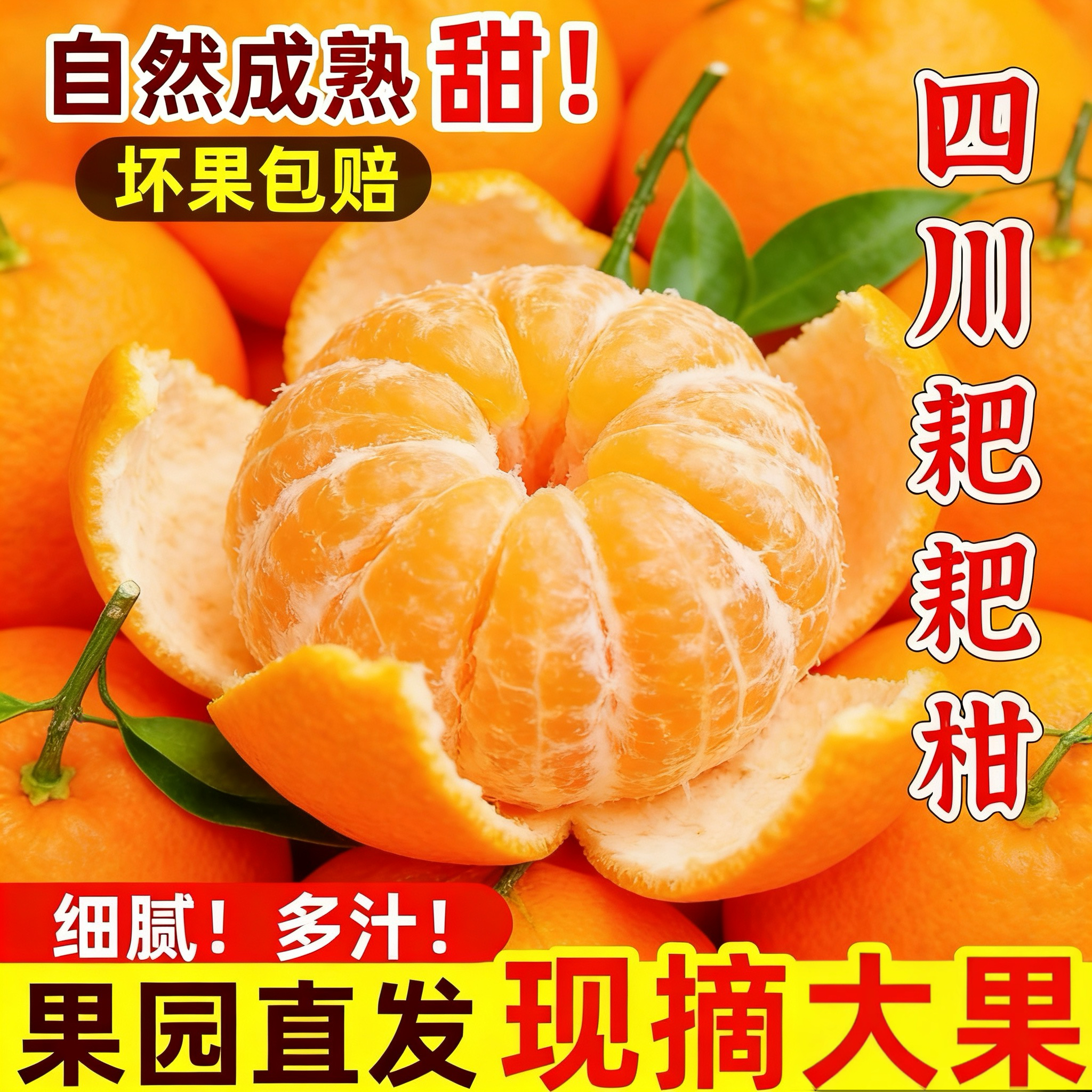 四川春见耙耙柑新鲜应季水果自然熟耙耙柑橘爆汁多汁果园现摘现发