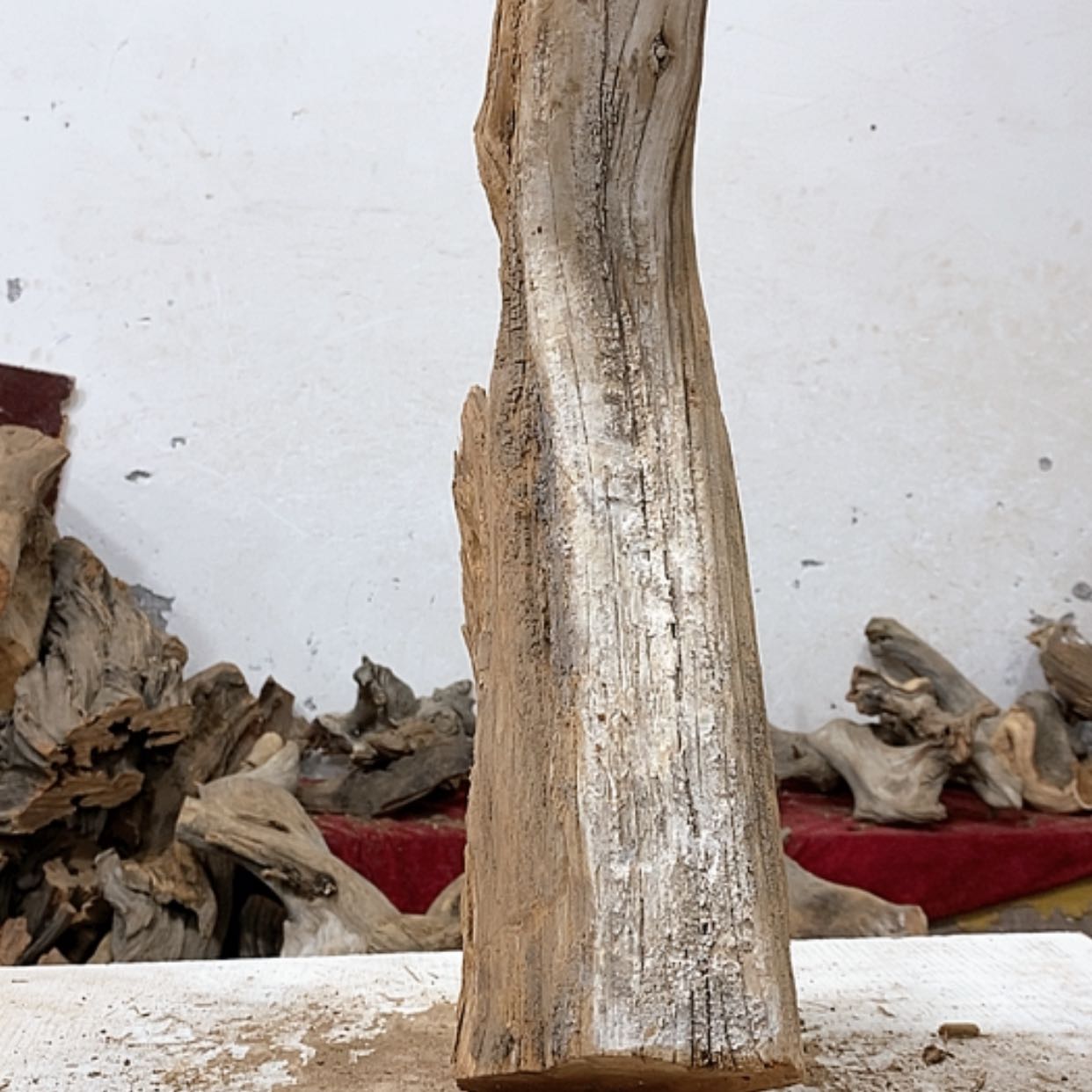 【闪购商品】柏木缘*艺我们都是好孩子