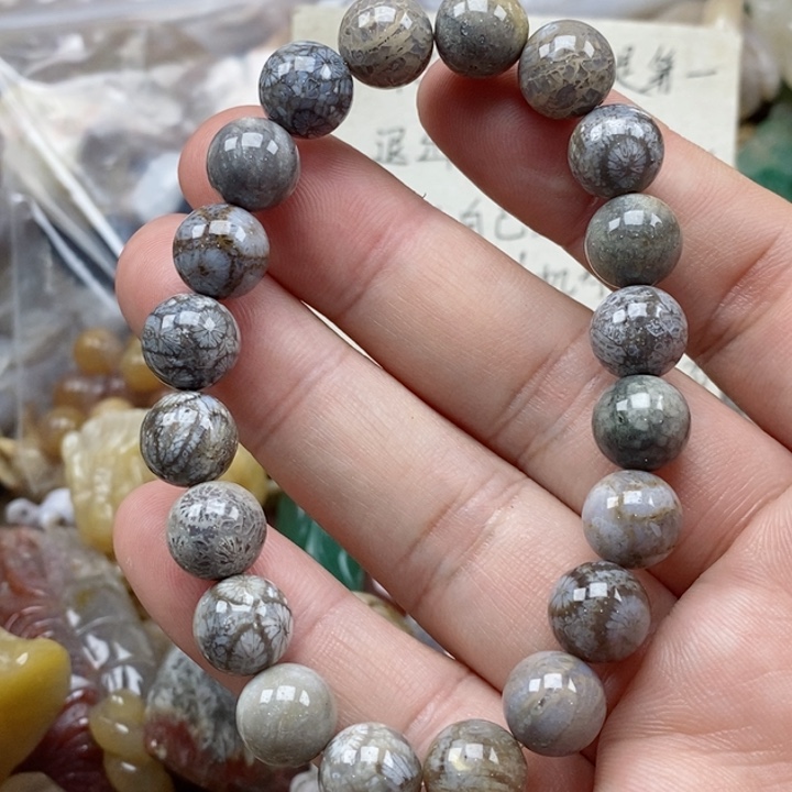 硅化珊瑚（珊瑚玉）未镶嵌颈饰