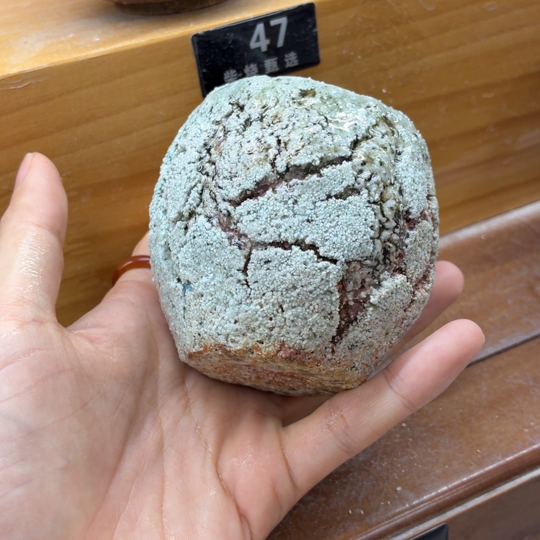 陶园柴烧，精品高货41