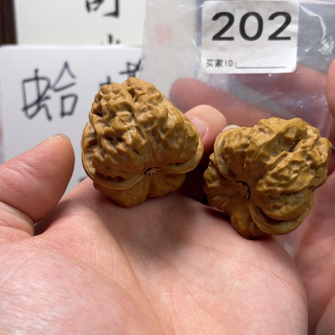 高***甲核桃蛤蟆头文玩202