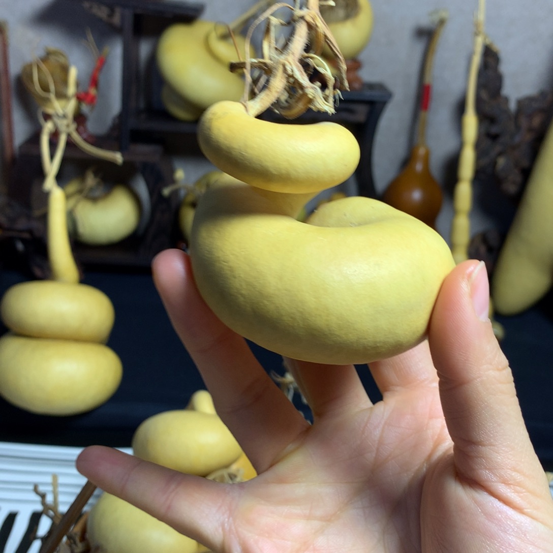 木***南葫芦葫芦真的好漂亮啊