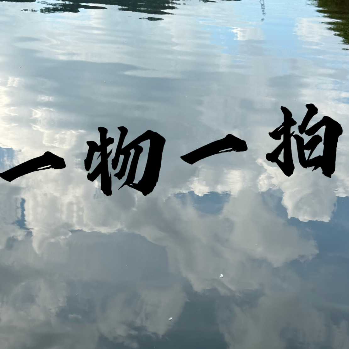 三角梅（一物一拍）原盆原土发货