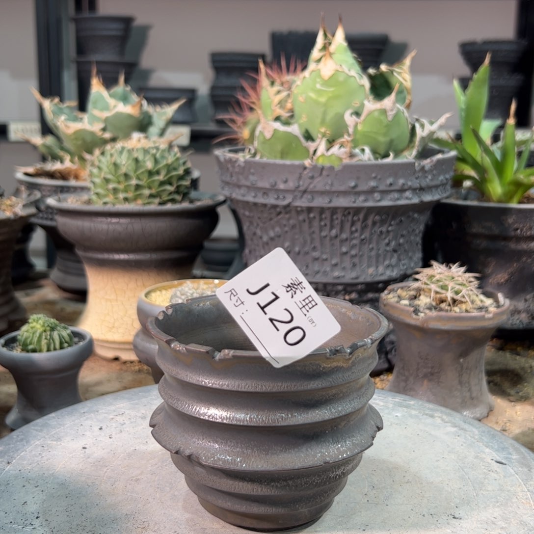 景德镇手工素里内口9.5高8.5