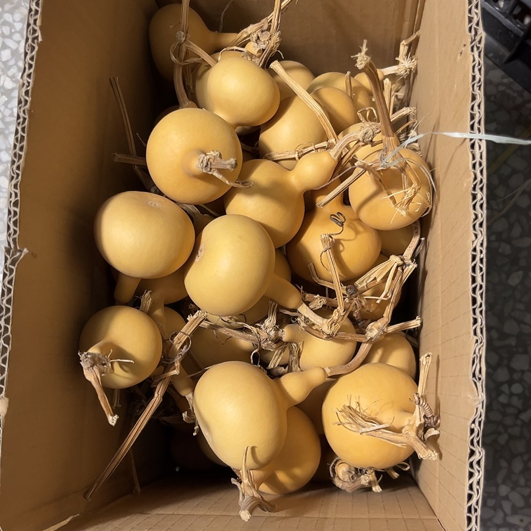 徐***美果胖墩20个独霸50个通货微瑕