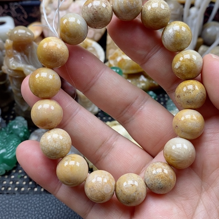 硅化珊瑚（珊瑚玉）颈饰未镶嵌